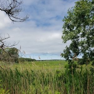 Meet your Posher, Evona & Monika